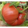 Томат СЕВЕРНЫЕ Томат СЕВЕРНЫЕ