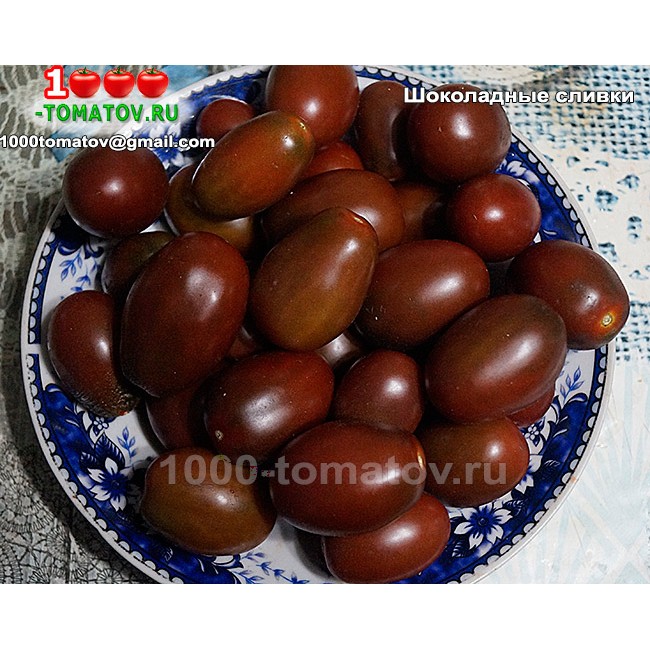 Томат ШОКОЛАДНЫЕ СЛИВКИ Томат ШОКОЛАДНЫЕ СЛИВКИ