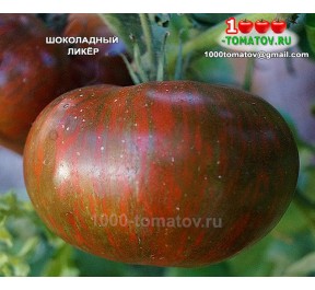 Томат ШОКОЛАДНЫЙ ЛИКЁР