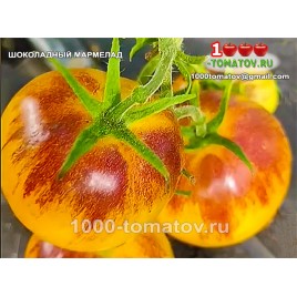 Томат ШОКОЛАДНЫЙ МАРМЕЛАД