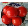 Томат ШТРАУХ  Shtrauch