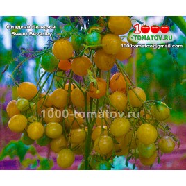 Томат СЛАДКИЙ БЕВЕРЛИ Sweet Beverley