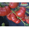 Томат СЛАДКИЙ МЯСИСТЫЙ ЗАПАДНОЙ ВИРДЖИНИИ
