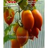 Томат СЛИВА ДОЛИНЫ ПИТМАН 