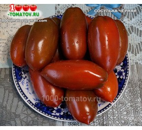 Томат СОСУЛЬКА ЧЁРНАЯ