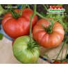 Томат СОВЕТСКИЕ