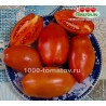 Томат СПАГЕТТИ