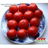 Томат ШТАД ТОМАТЕ   Stad tomate 