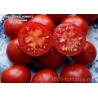 Томат ШТАД ТОМАТЕ   Stad tomate 
