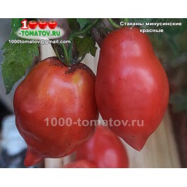 Томат СТАКАНЫ МИНУСИНСКИЕ КРАСНЫЕ