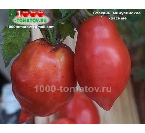 Томат СТАКАНЫ МИНУСИНСКИЕ КРАСНЫЕ