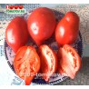 Томаты СТАКАНЫ МИНУСИНСКИЕ КРАСНЫЕ