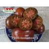 Томат СУПЕРГНОМ 