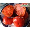 Томат СВАТ