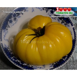 Томат ТЛАКОЛУЛА ЖЁЛТАЯ  - Tlacolula   Аmarillo (Мексика)