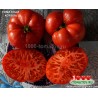 Томат ТОМАТНЫЙ КОРОЛЬ