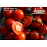 Томат ТОМАТО ТОММИ ТОЙ