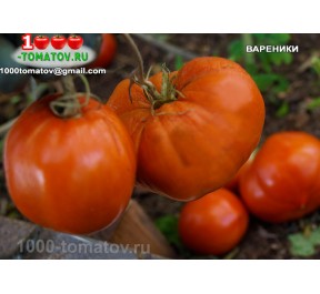 Томат ВАРЕНИКИ