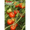 Томат ВЕРНОЕ СЕРДЦЕ