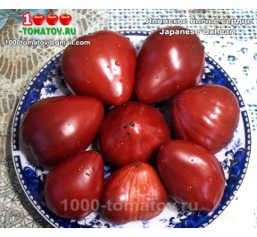 Томат ЯПОНСКОЕ БЫЧЬЕ СЕРДЦЕ Томат ЯПОНСКОЕ БЫЧЬЕ СЕРДЦЕ