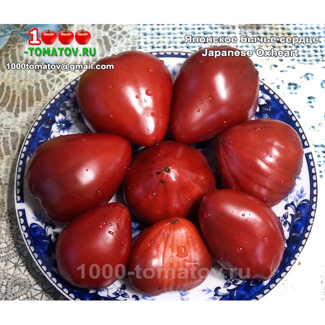 Томат ЯПОНСКОЕ БЫЧЬЕ СЕРДЦЕ Томат ЯПОНСКОЕ БЫЧЬЕ СЕРДЦЕ