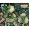 Томат ЯРСОН 10/1 Томат ЯРСОН 10/1