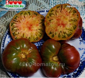 Томат ЯРСОН 10/1