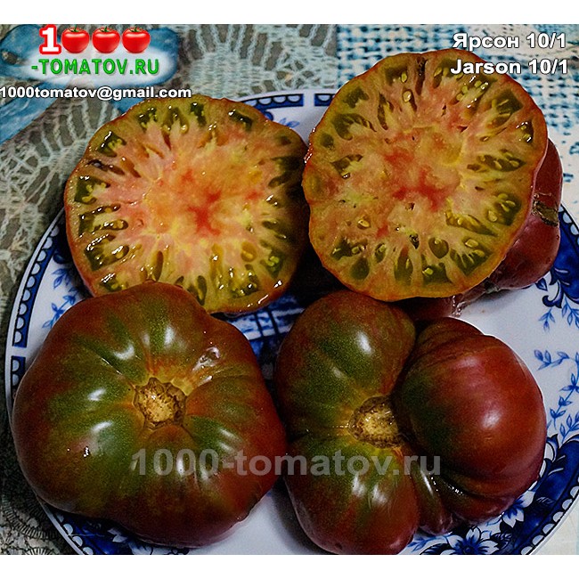 Томат ЯРСОН 10/1 Томат ЯРСОН 10/1