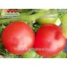 Томат ЗНАМЕНИТАЯ ГОЛЛАНДСКАЯ ДЕВУШКА