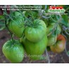 Томат ЗНАМЕНИТАЯ КЛУБНИКА МИССИС ШЛАУБАУГХ