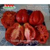 Томат Зубчатый томат Бюрер-Киль Gezahne Tomate Buhrer-Keel