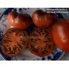 Томат ЗВЁЗДНАЯ ПЫЛЬ х ЧЁРНЫЙ КРАСИВЫЙ